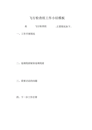 飞行检查组工作小结模板.docx