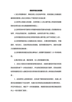 模板坍塌应急措施.docx