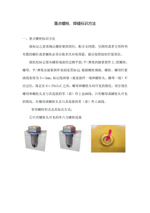 重点螺栓、焊缝标识方法.docx