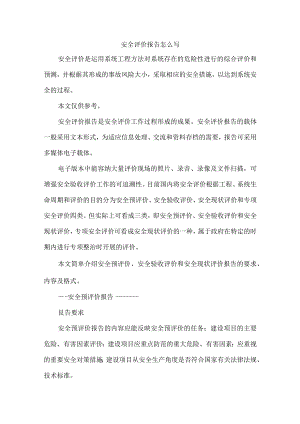 安全评价报告怎么写.docx