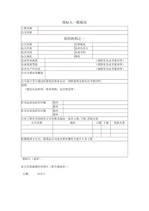 投标人一般情况.docx
