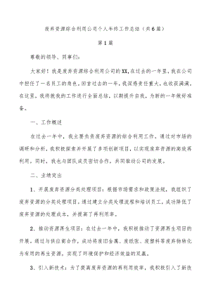 废弃资源综合利用公司个人年终工作总结（共6篇）.docx