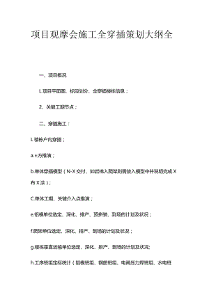 项目观摩会施工全穿插策划大纲全套.docx