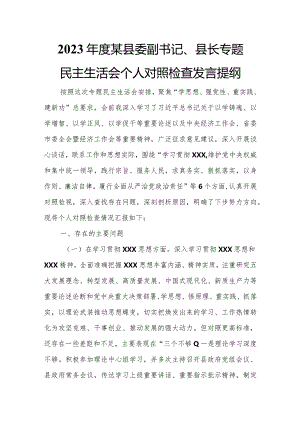 2023年度某县委副书记、县长专题民主生活会个人对照检查发言提纲.docx