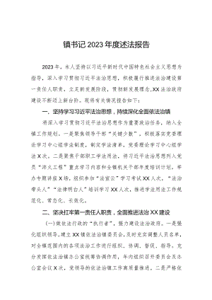 镇书记2023年度述法报告三篇.docx
