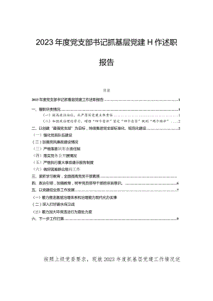2023年度党支部书记抓基层党建工作述职报告.docx
