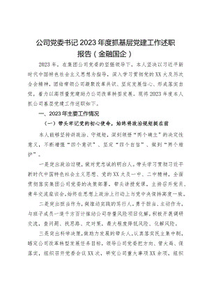 公司党委书记2023年度抓基层党建工作述职报告（金融国企）.docx