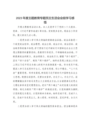 2023年度主题教育专题民主生活会会前学习感悟(精选两篇合辑).docx