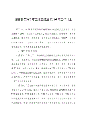 综合部2023年工作总结及2024年工作计划(终).docx