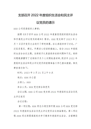 党支部组织生活会请示.docx