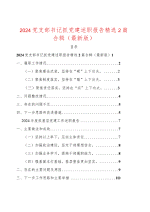 2024党支部书记抓党建述职报告精选2篇合辑.docx