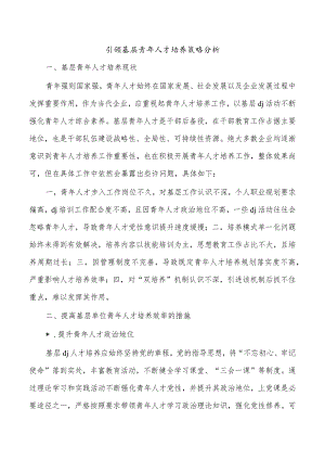 引领基层青年人才培养策略分析.docx