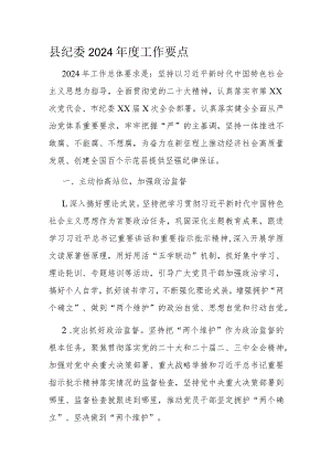 县纪委2024年度工作要点.docx