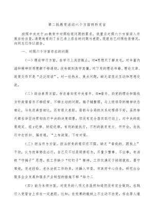 第二批教育活动六个方面剖析发言.docx