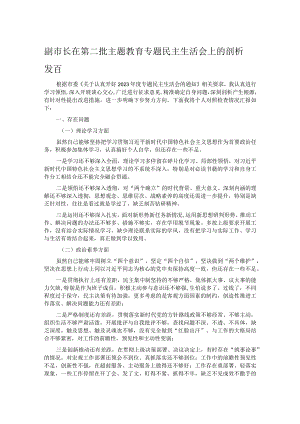 副市长在第二批主题教育专题民主生活会上的剖析发言.docx