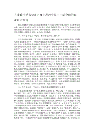 县委政法委书记在召开主题教育民主生活会前的理论研讨发言.docx