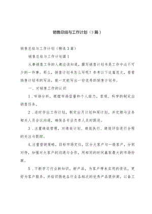 销售总结与工作计划（3篇）.docx
