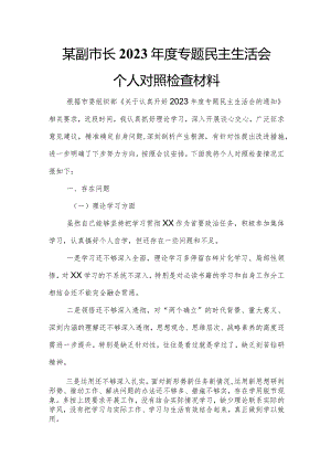 某副市长2023年度专题民主生活会个人对照检查材料.docx