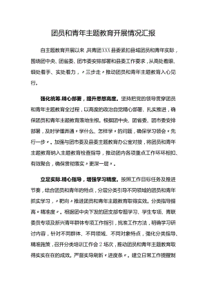 团员和青年主题教育开展情况汇报.docx