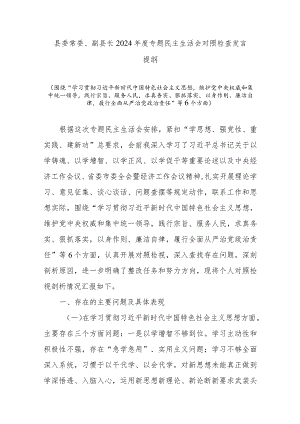 县委常委、副县长2024年度专题民主生活会对照检查发言提纲.docx