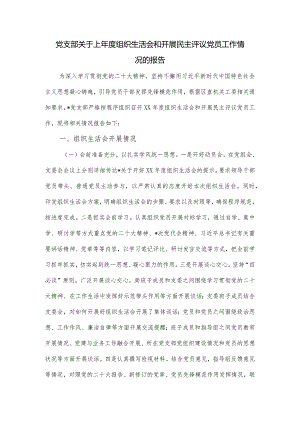 党支部关于上年度组织生活会和开展民主评议党员工作情况的报告.docx