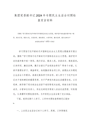 集团党委副书记2024年专题民主生活会对照检查发言材料.docx