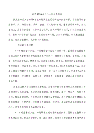 班子2024年六个方面检查剖析.docx