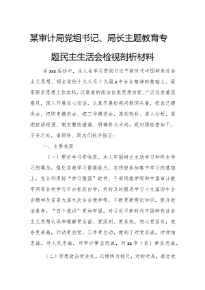 某审计局党组书记、局长主题教育专题民主生活会检视剖析材料.docx