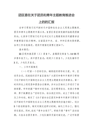 团区委在关于团员和青年主题教育推进会上的的汇报.docx