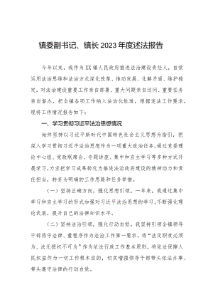镇委副书记、镇长2023年度述法报告三篇.docx