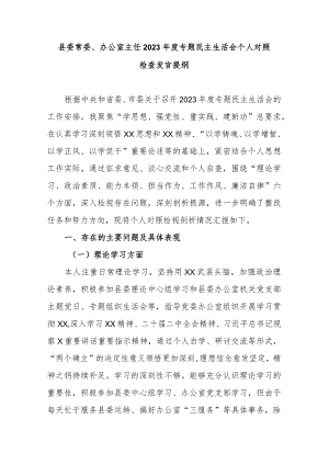 县委常委、办公室主任2023年度专题民主生活会个人对照检查发言提纲.docx