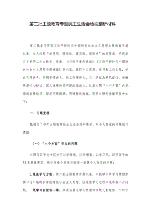 第二批主题教育专题民主生活会检视剖析材料.docx