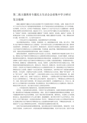 第二批主题教育专题民主生活会会前集中学习研讨发言提纲.docx