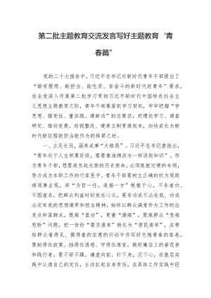 第二批主题教育交流发言：写好主题教育“青春篇”.docx