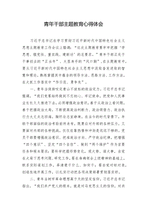 青年干部主题教育心得体会.docx
