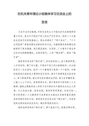在机关青年理论小组集体学习交流会上的发言.docx