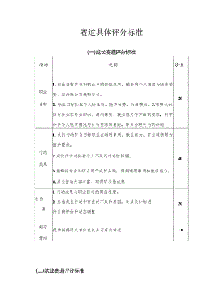 赛道具体评分标准.docx