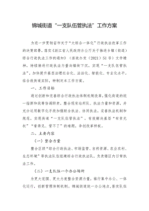 锦城街道“一支队伍管执法”工作方案.docx