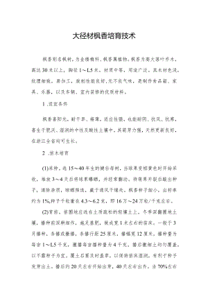 大径材枫香培育技术.docx
