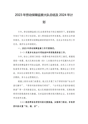 2023年劳动保障监察大队总结及2024年计划.docx