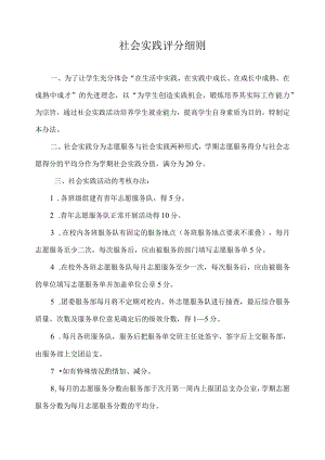社会实践评分细则.docx