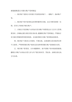 新能源集团公司银行账户管理规定.docx