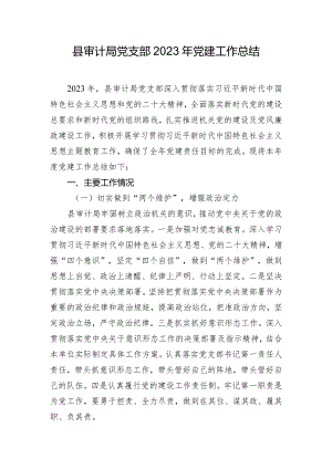 县审计局党支部2023年党建工作总结.docx