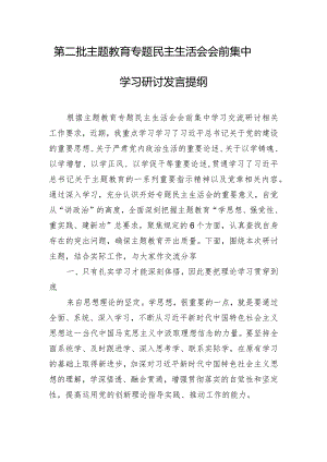 第二批主题教育专题民主生活会会前集中学习研讨发言提纲.docx