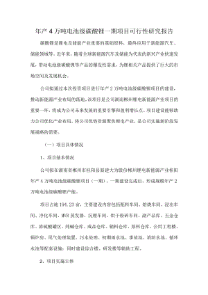 年产4万吨电池级碳酸锂一期项目可行性研究报告.docx