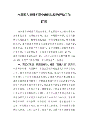 市局深入推进冬季突出违法整治行动工作汇报.docx