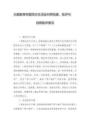 主题教育专题民主生活会对照检查、批评与自我批评意见.docx