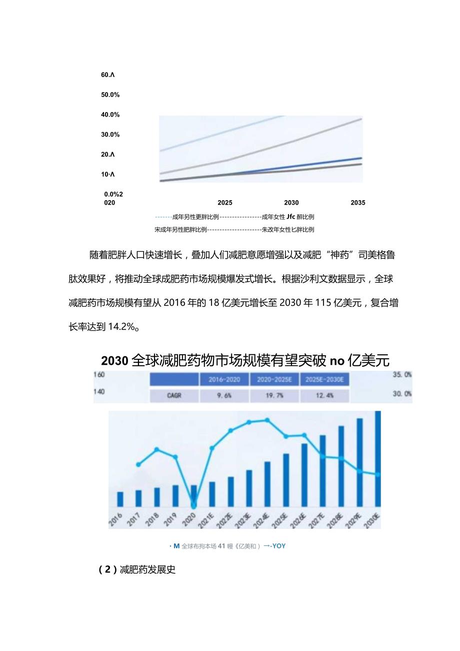 减肥药行业研究报告.docx_第3页