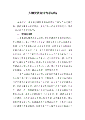 乡镇党委党建专项总结.docx