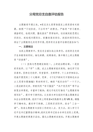 分局党总支自查评估报告.docx